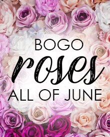 June 2023 Rose BOGO Special
